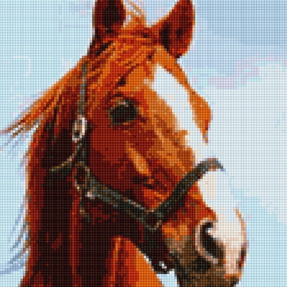 Meet your Posher, Alana - Picture 1 of 1